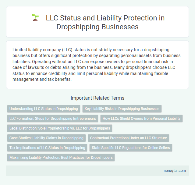 LLC Status and Liability Protection in Dropshipping Businesses