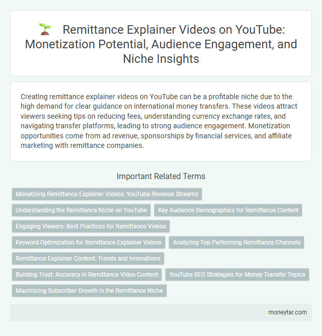 Remittance Explainer Videos on YouTube: Monetization Potential, Audience Engagement, and Niche Insights