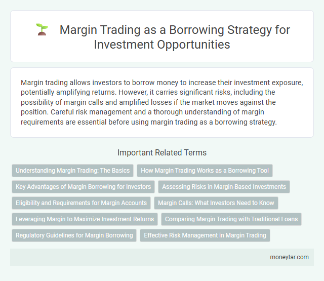 Margin Trading as a Borrowing Strategy for Investment Opportunities