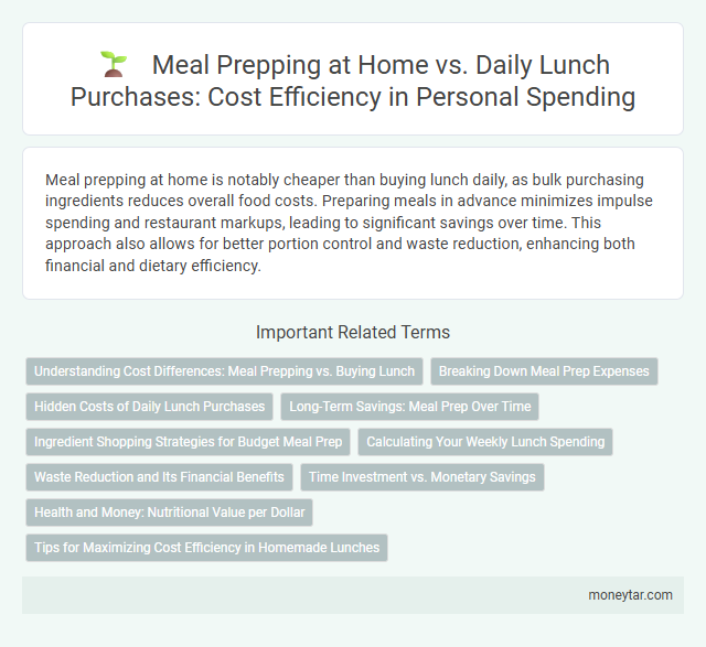Meal Prepping at Home vs. Daily Lunch Purchases: Cost Efficiency in Personal Spending
