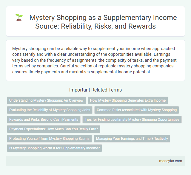 Mystery Shopping as a Supplementary Income Source: Reliability, Risks, and Rewards
