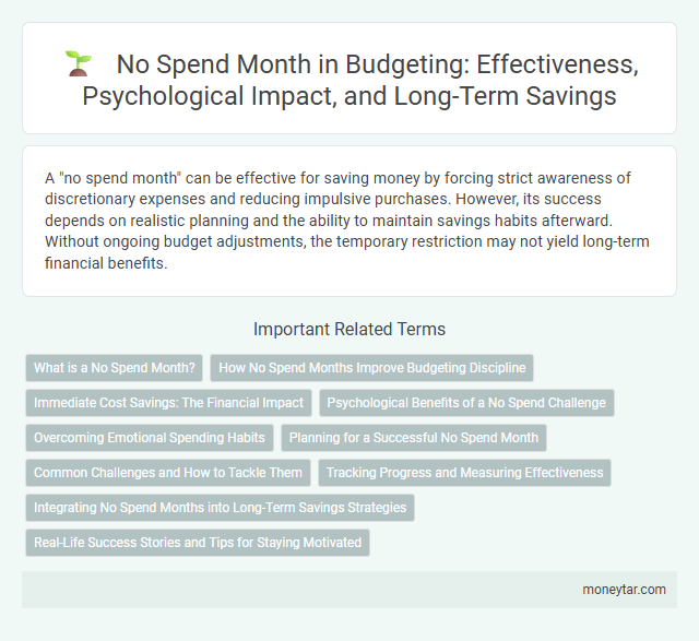 No Spend Month in Budgeting: Effectiveness, Psychological Impact, and Long-Term Savings