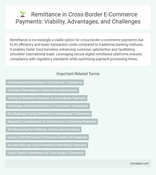 Remittance in Cross-Border E-Commerce Payments: Viability, Advantages, and Challenges