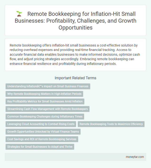 Remote Bookkeeping for Inflation-Hit Small Businesses: Profitability, Challenges, and Growth Opportunities