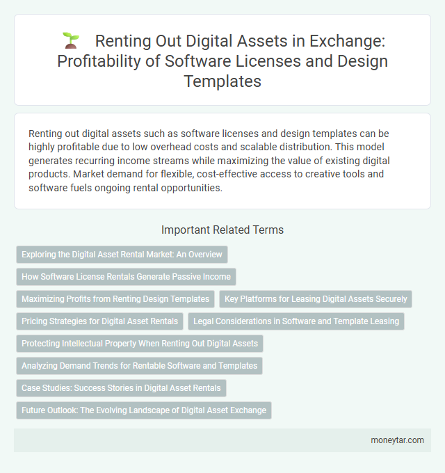 Renting Out Digital Assets in Exchange: Profitability of Software Licenses and Design Templates