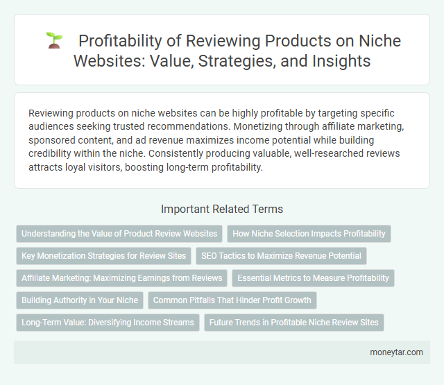 Profitability of Reviewing Products on Niche Websites: Value, Strategies, and Insights