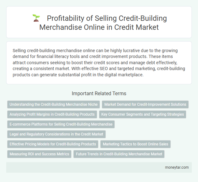 Profitability of Selling Credit-Building Merchandise Online in Credit Market