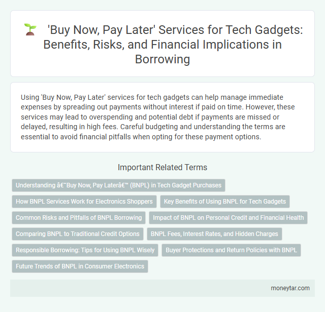 'Buy Now, Pay Later' Services for Tech Gadgets: Benefits, Risks, and Financial Implications in Borrowing