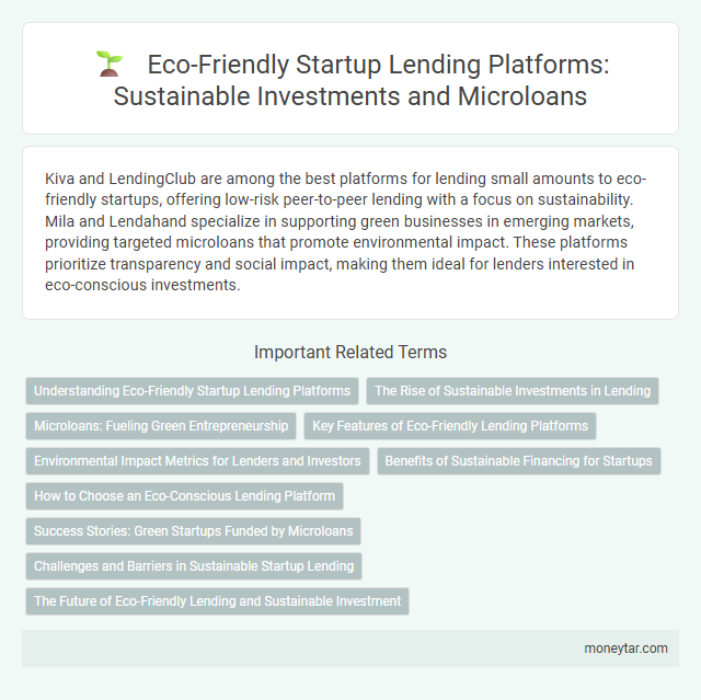 Eco-Friendly Startup Lending Platforms: Sustainable Investments and Microloans