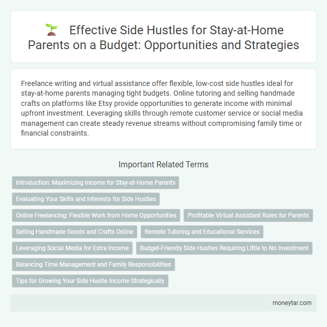 Effective Side Hustles for Stay-at-Home Parents on a Budget: Opportunities and Strategies
