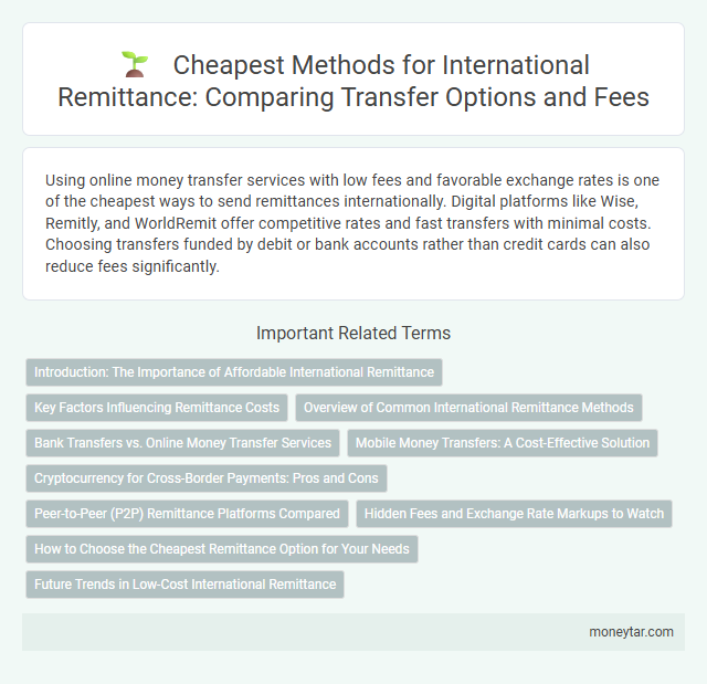 Cheapest Methods for International Remittance: Comparing Transfer Options and Fees