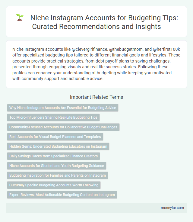 Niche Instagram Accounts for Budgeting Tips: Curated Recommendations and Insights