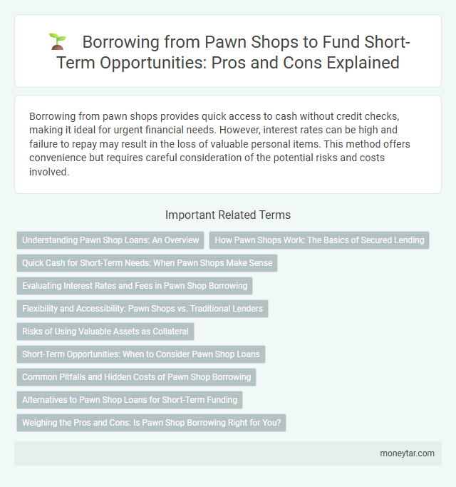 Borrowing from Pawn Shops to Fund Short-Term Opportunities: Pros and Cons Explained