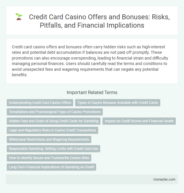 Credit Card Casino Offers and Bonuses: Risks, Pitfalls, and Financial Implications