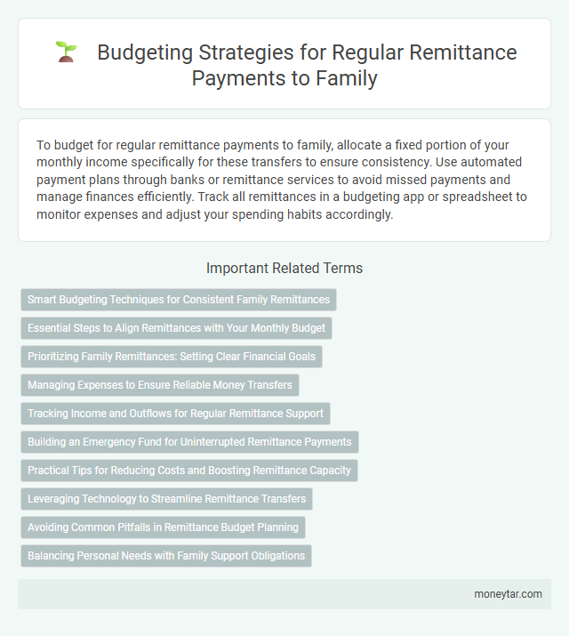 Budgeting Strategies for Regular Remittance Payments to Family