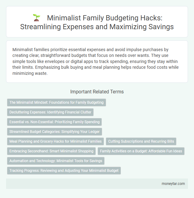 Minimalist Family Budgeting Hacks: Streamlining Expenses and Maximizing Savings