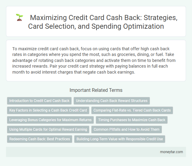 Maximizing Credit Card Cash Back: Strategies, Card Selection, and Spending Optimization