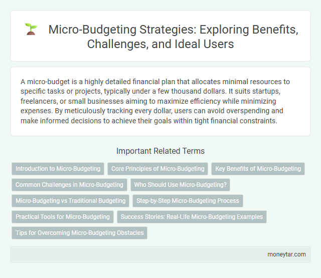 Micro-Budgeting Strategies: Exploring Benefits, Challenges, and Ideal Users