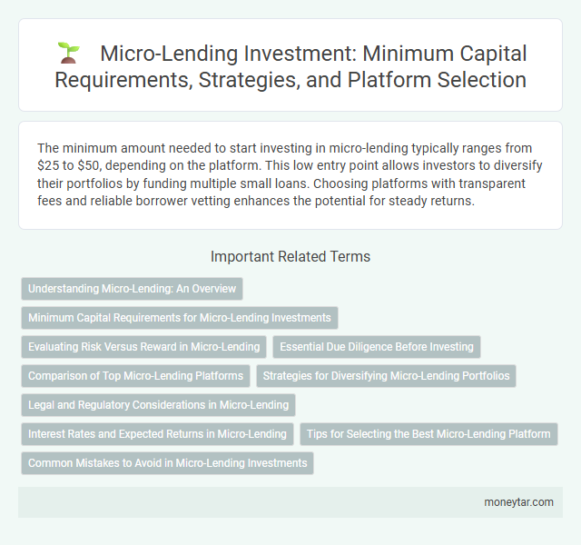 Micro-Lending Investment: Minimum Capital Requirements, Strategies, and Platform Selection
