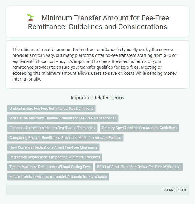 Minimum Transfer Amount for Fee-Free Remittance: Guidelines and Considerations