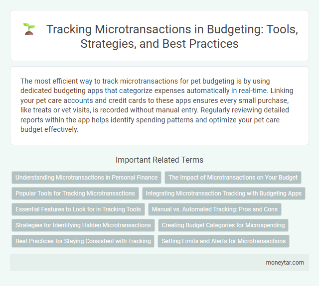 Tracking Microtransactions in Budgeting: Tools, Strategies, and Best Practices