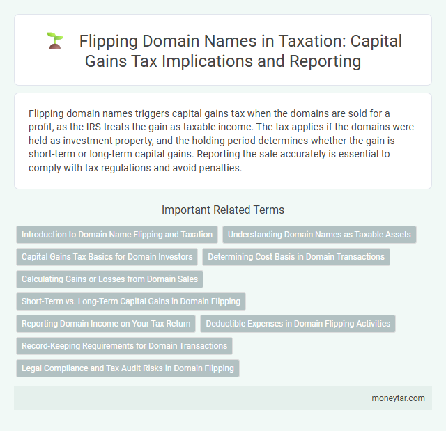Flipping Domain Names in Taxation: Capital Gains Tax Implications and Reporting