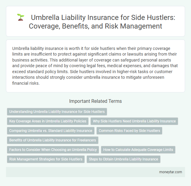 Umbrella Liability Insurance for Side Hustlers: Coverage, Benefits, and Risk Management