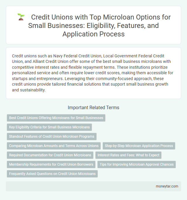 Credit Unions with Top Microloan Options for Small Businesses: Eligibility, Features, and Application Process