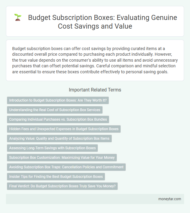 Budget Subscription Boxes: Evaluating Genuine Cost Savings and Value