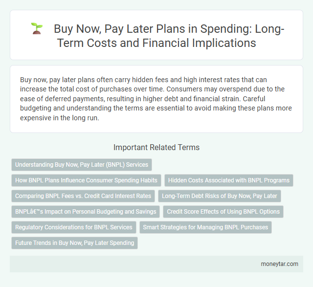 Buy Now, Pay Later Plans in Spending: Long-Term Costs and Financial Implications