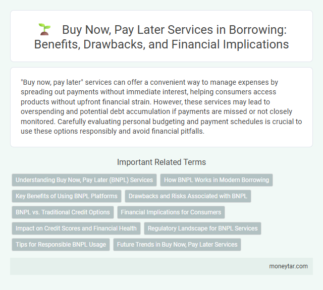 Buy Now, Pay Later Services in Borrowing: Benefits, Drawbacks, and Financial Implications