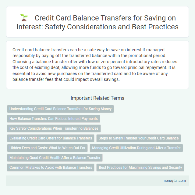 Credit Card Balance Transfers for Saving on Interest: Safety Considerations and Best Practices