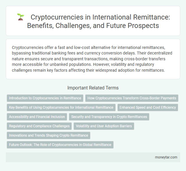 Cryptocurrencies in International Remittance: Benefits, Challenges, and Future Prospects