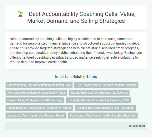 Debt Accountability Coaching Calls: Value, Market Demand, and Selling Strategies