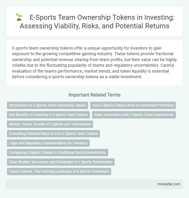 E-Sports Team Ownership Tokens in Investing: Assessing Viability, Risks, and Potential Returns