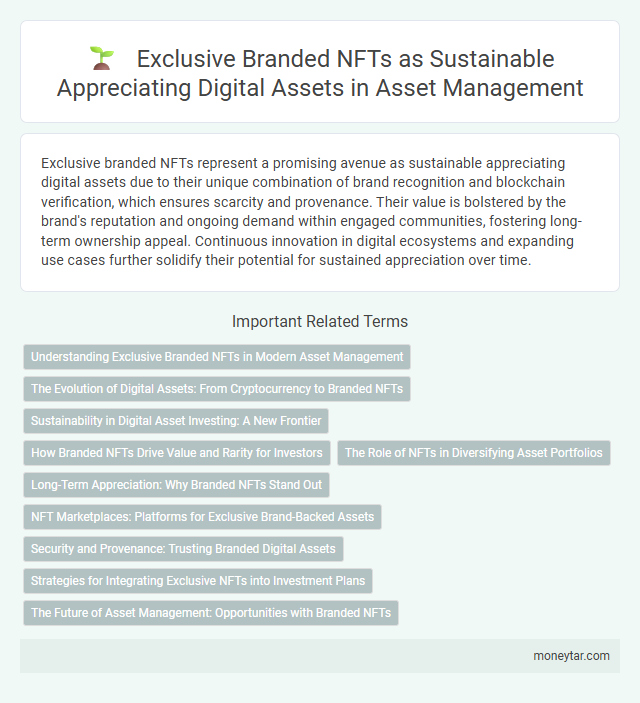 Exclusive Branded NFTs as Sustainable Appreciating Digital Assets in Asset Management