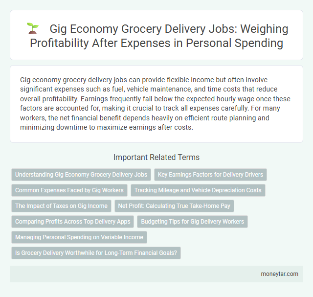 Gig Economy Grocery Delivery Jobs: Weighing Profitability After Expenses in Personal Spending