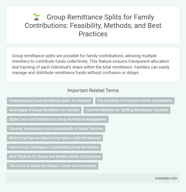 Group Remittance Splits for Family Contributions: Feasibility, Methods, and Best Practices