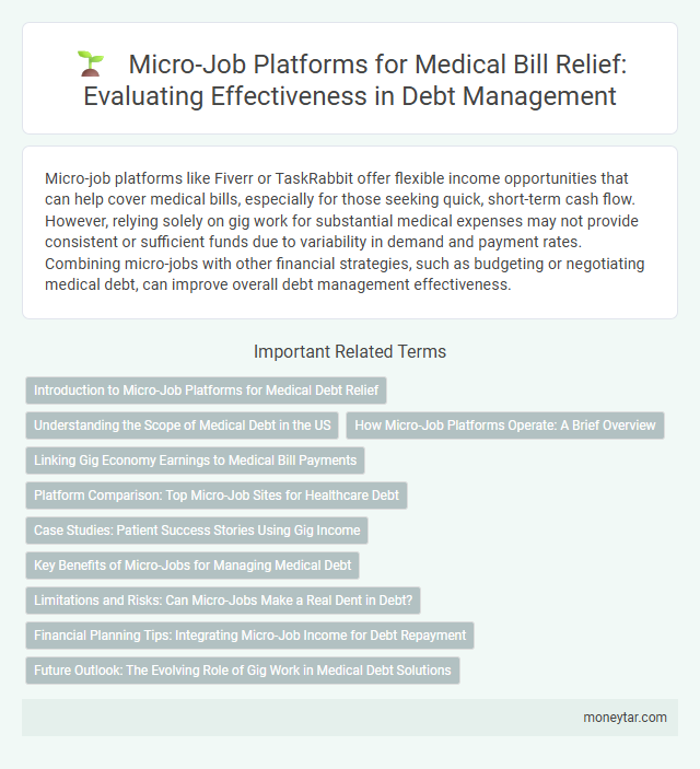 Micro-Job Platforms for Medical Bill Relief: Evaluating Effectiveness in Debt Management