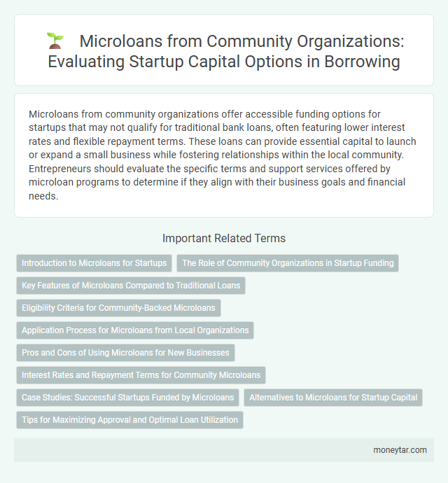Microloans from Community Organizations: Evaluating Startup Capital Options in Borrowing