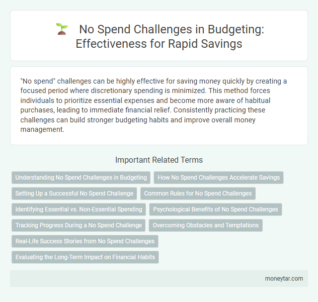No Spend Challenges in Budgeting: Effectiveness for Rapid Savings