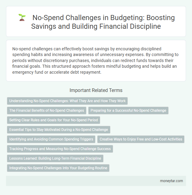 No-Spend Challenges in Budgeting: Boosting Savings and Building Financial Discipline