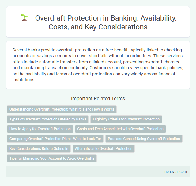 Overdraft Protection in Banking: Availability, Costs, and Key Considerations