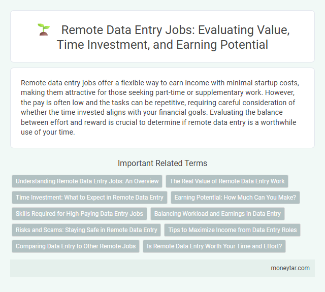 Remote Data Entry Jobs: Evaluating Value, Time Investment, and Earning Potential