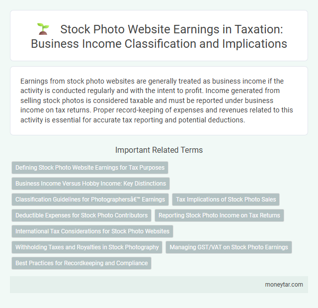 Stock Photo Website Earnings in Taxation: Business Income Classification and Implications