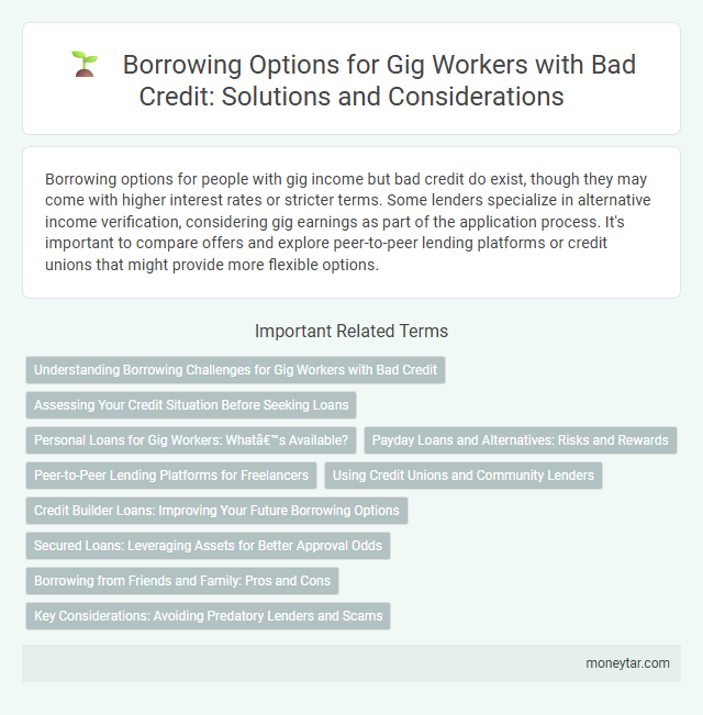 Borrowing Options for Gig Workers with Bad Credit: Solutions and Considerations