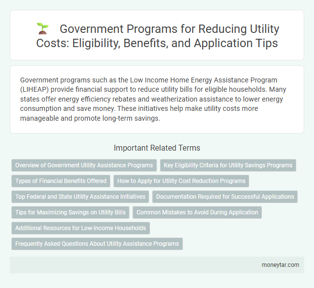Government Programs for Reducing Utility Costs: Eligibility, Benefits, and Application Tips