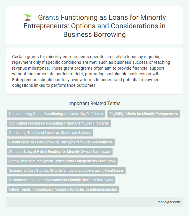 Grants Functioning as Loans for Minority Entrepreneurs: Options and Considerations in Business Borrowing