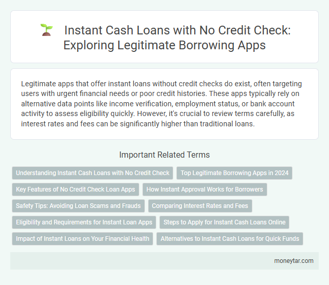 Instant Cash Loans with No Credit Check: Exploring Legitimate Borrowing Apps