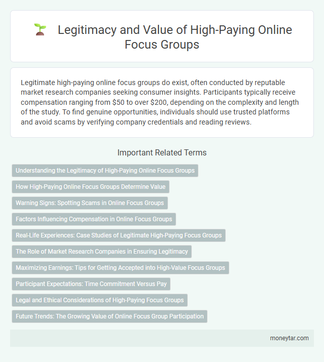 Legitimacy and Value of High-Paying Online Focus Groups